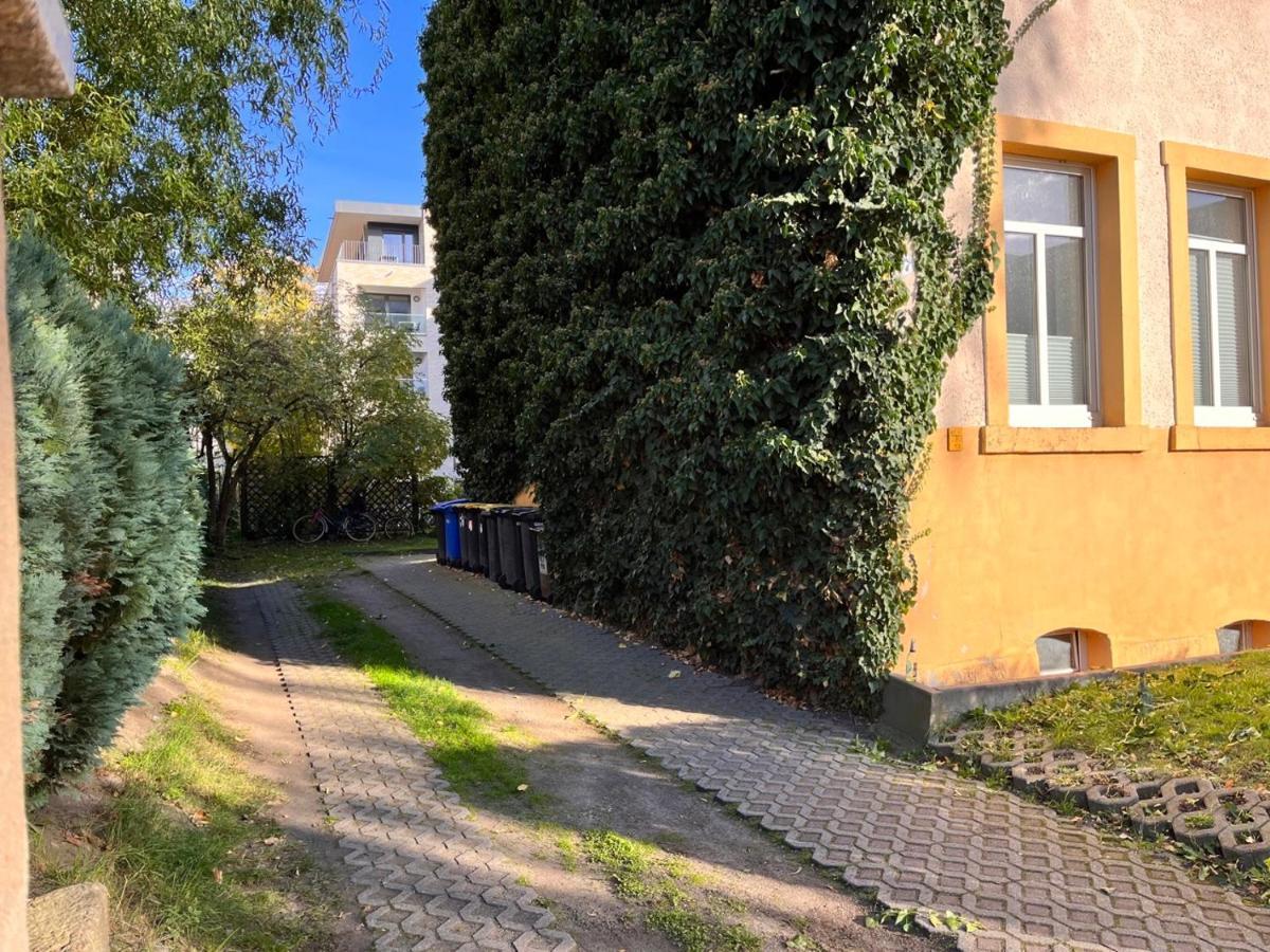 Gemutliche Oase - Tv, Beamer, Kuche Fur 4 Personen Lejlighed Dresden Eksteriør billede